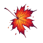 Fall leaf Fall leaf falling